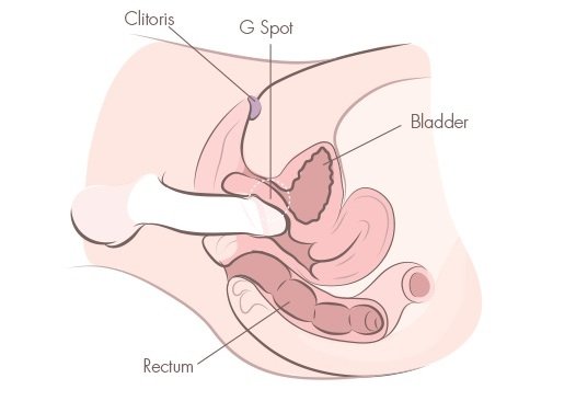 G-Spot-consolador-técnicas-de-masturbación