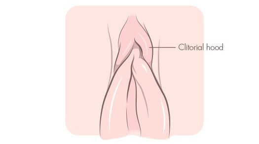 masturbation techniques - rubbing the clitoral hood