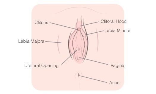 cómo-masturbarse-vagina-etiquetada