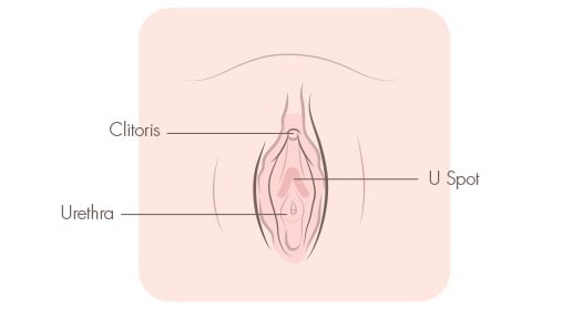 Técnica de masturbación U Spot para orgasmos potentes